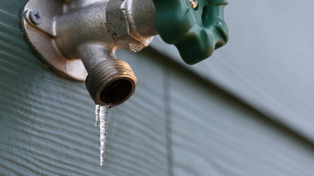 Best Clogged Drain Plumber  in Springfield, KY